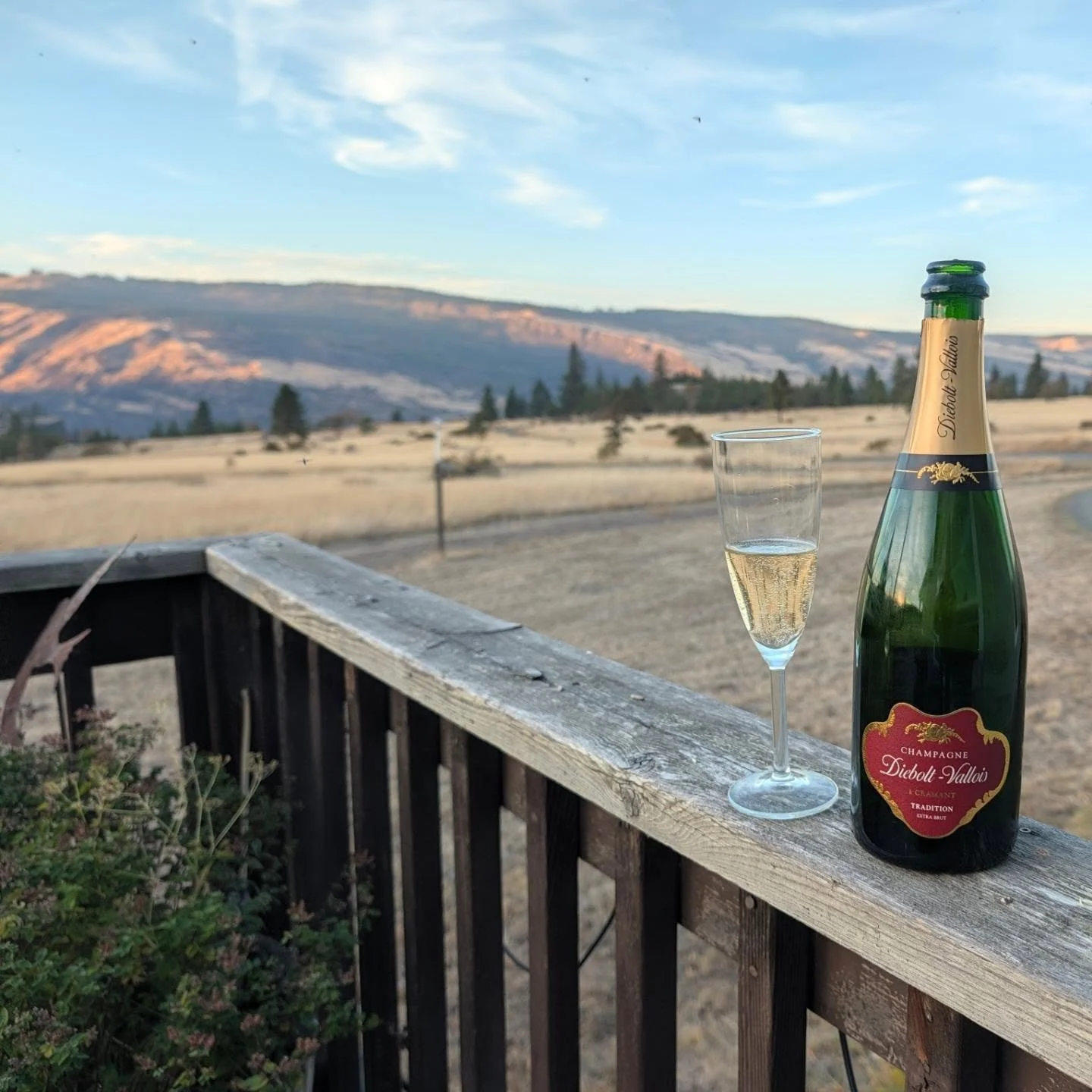 Last grapes are in for '26. 

Thanks Porr&oacute;n Cellars for the delicious bubs, and Paloma Ayala Photography for reminding me to do more than sleep to celebrate.

Cheers to what looks like an incredible vintage! 🥂

#gorgewine #oregonwine #columbi