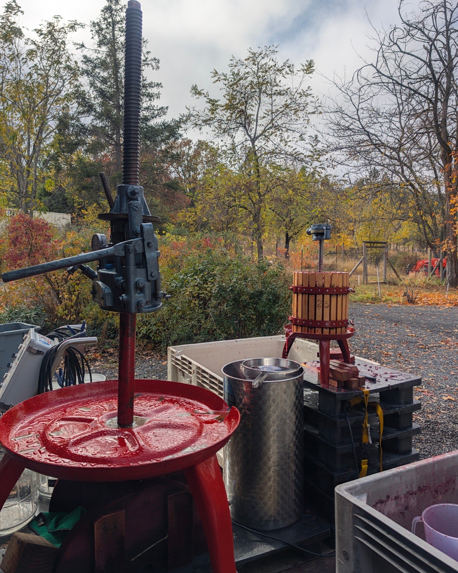 If harvest is nothing else, it's the season of problem solving. So, the hydraulic seals on the regular press blow up right before the last press of the season? Go into the Tasting House pull out the tiny baby press we started with almost 10 years ago