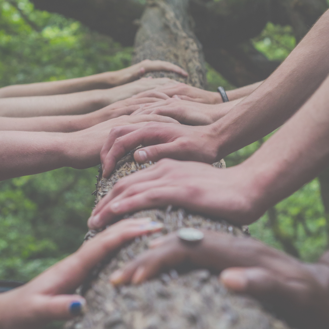 Biblical Anti-Racism