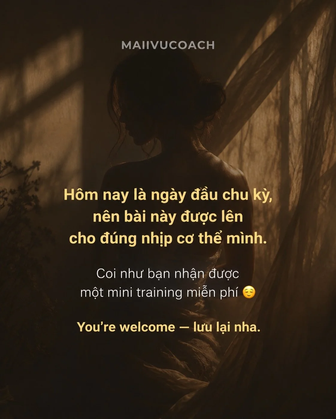 Kh&ocirc;ng hề bất ngờ khi c&aacute;ch đ&acirc;y 2 ng&agrave;y, d&ugrave; cơ thể vẫn c&ograve;n mệt lừ sau một trận ốm kh&ocirc;ng mời m&agrave; đến, Maii chạm đến một sự s&aacute;ng r&otilde; rất mạnh về c&ocirc;ng việc kinh doanh.

Một insight m&ag