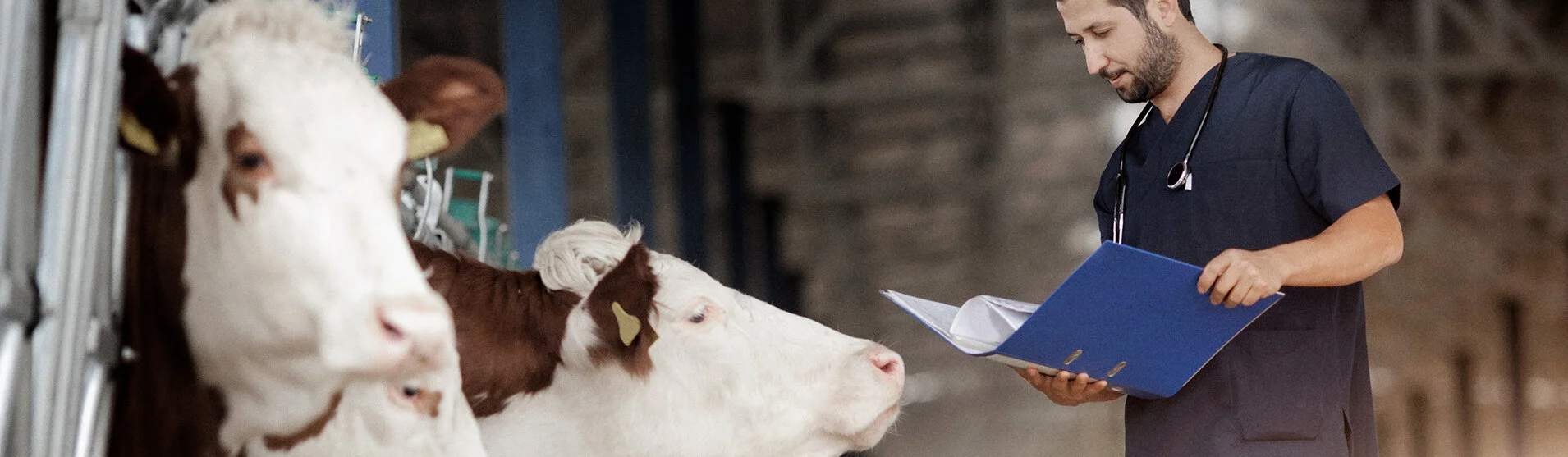 Indical Veterinary Diagnostics — AsureQuality Diagnostics