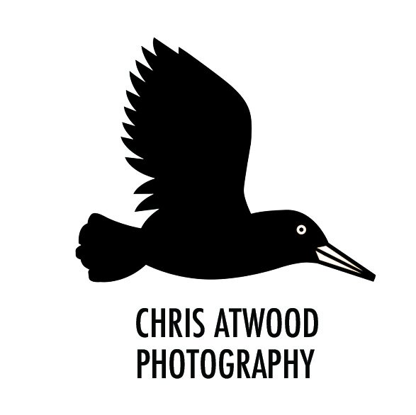 Chris Atwood