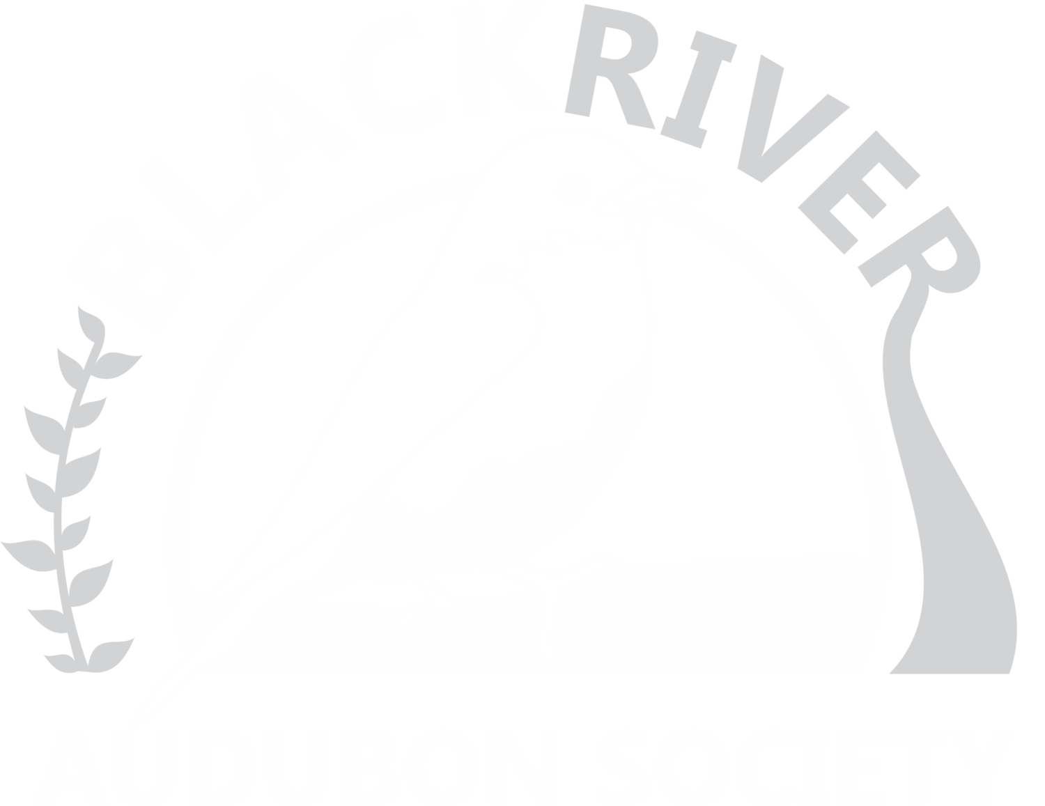 Black River Audubon Society