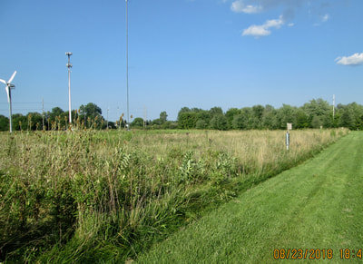 lccc-meadow.jpg