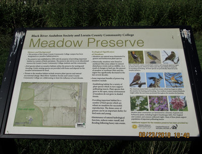 meadow preserve.jpeg