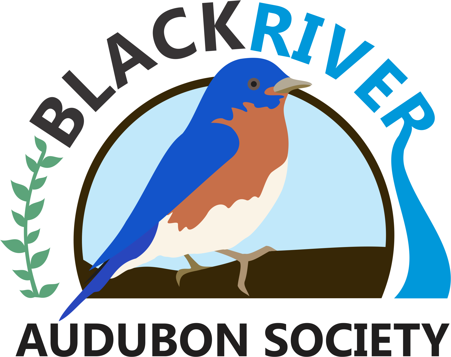 BlackRiverAudubonSocietylogo.png