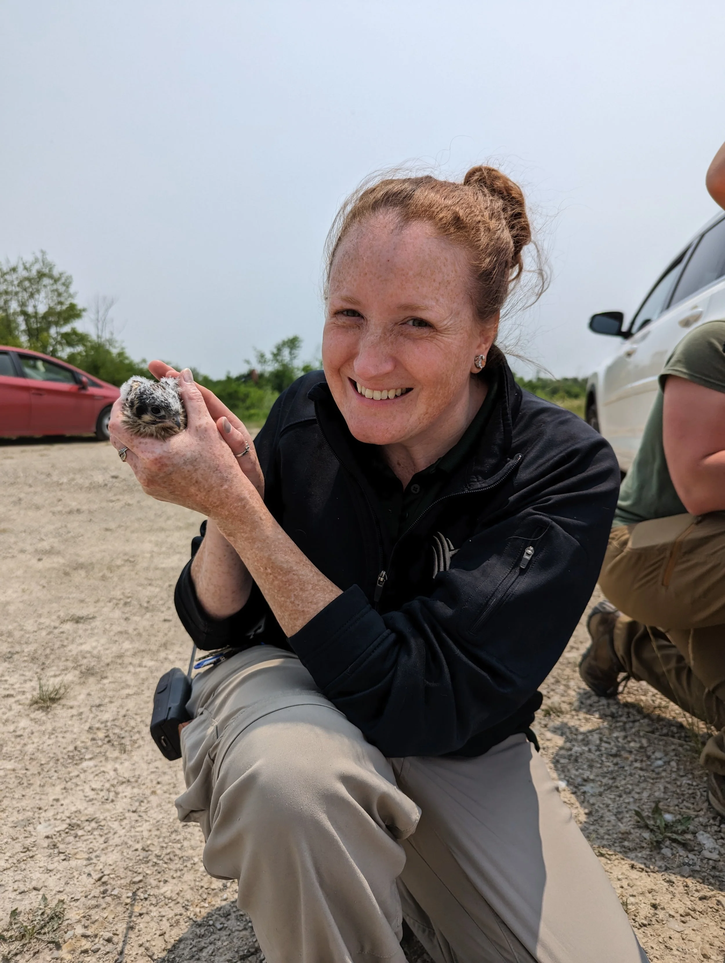 Program- Genelle Uhrig "Spying on Kestrels! American Kestrel Conservation at The Wilds"