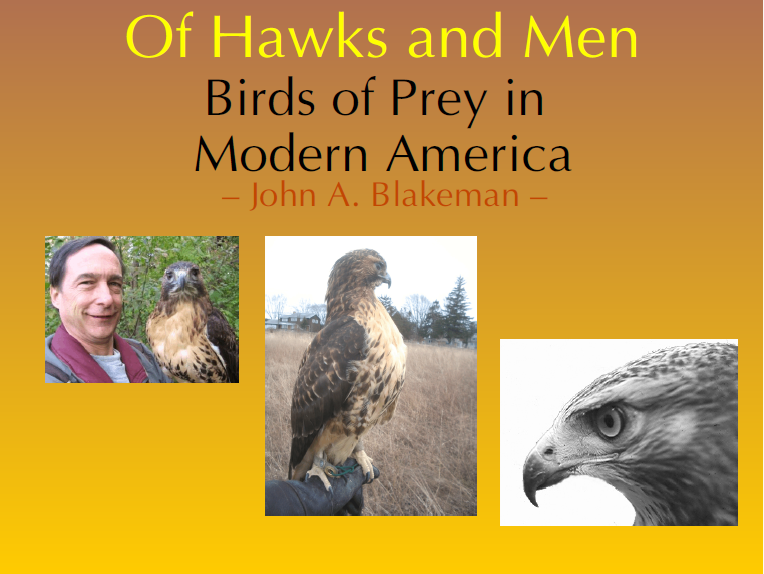 Monthly Program: John Blakeman "Of Hawks and Men- Birds of Prey in Modern America"