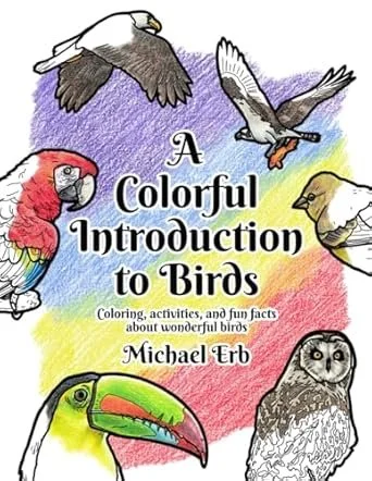 Intro to birds.jpg