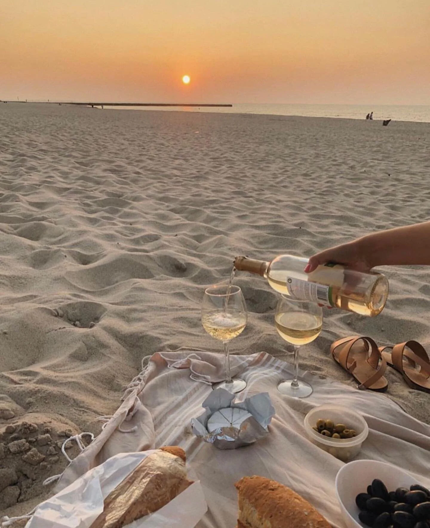 Ideal situation 🐚✨🥐🐬🥂☺️