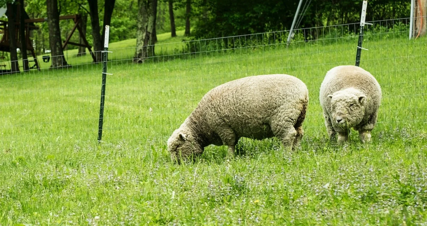 Screen Shot 2022-11-13 at 6.58.20 PM.jpg