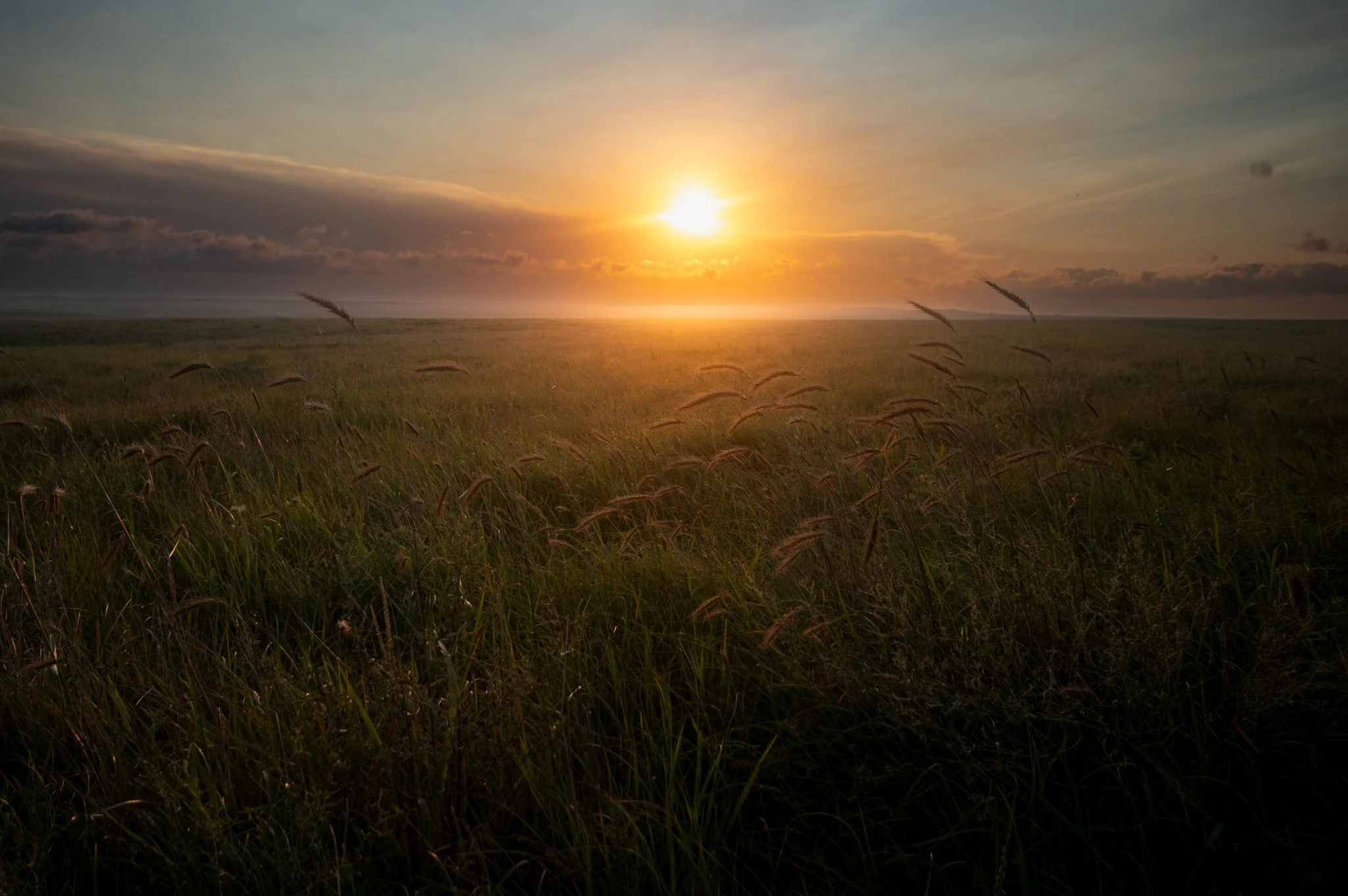 Tallgrass Ntl MFuhr.jpg