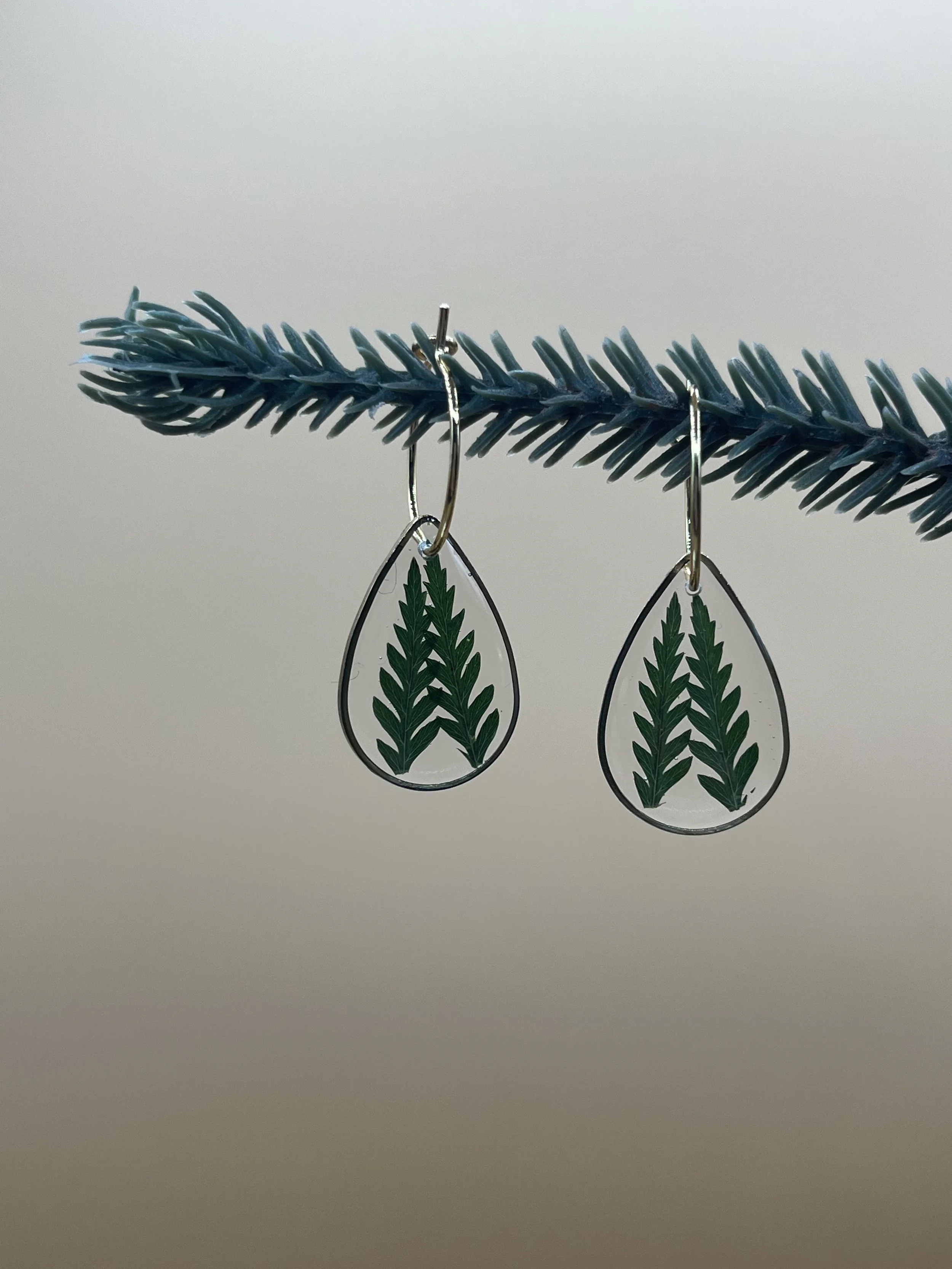 Feather Fern Earrings, small teardrop brass frame