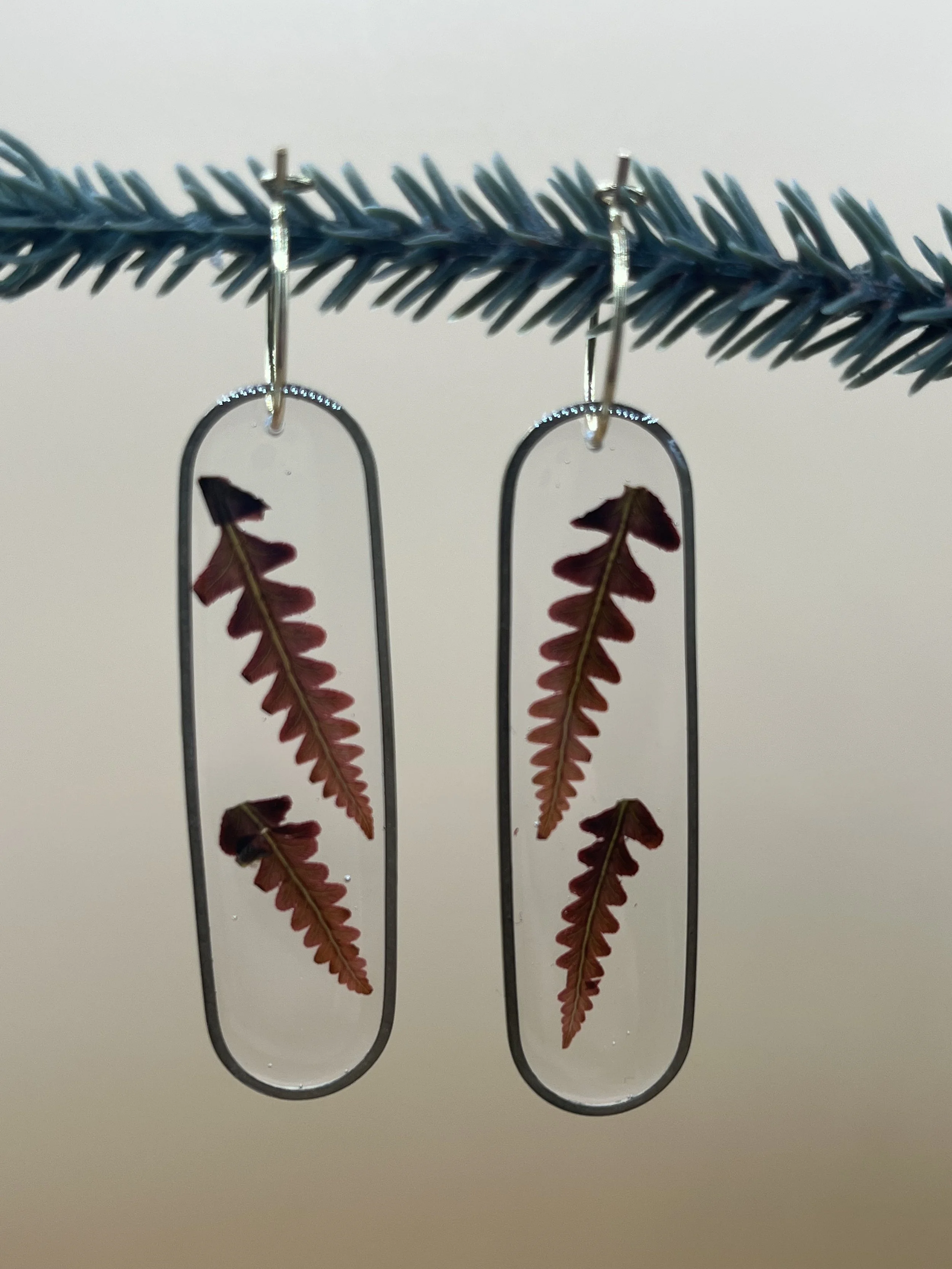 Autumn Fern Earrings, young double, oblong brass frame