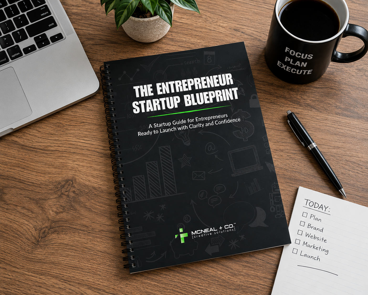 The Entreprenuer Startup Blueprint