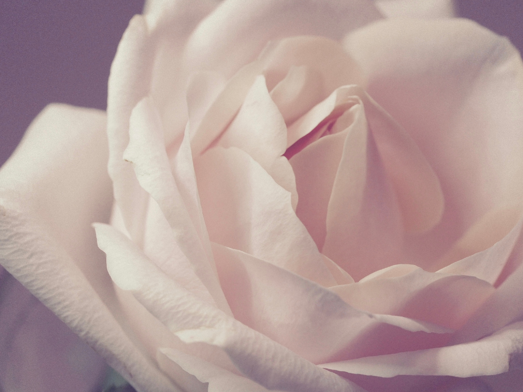 Veiled Woman: Conclusion & Bibliography