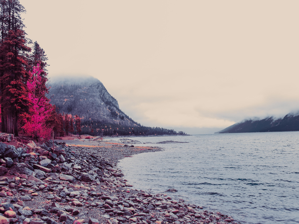 Surrender in the Midst of the Sea: Message from God the Father