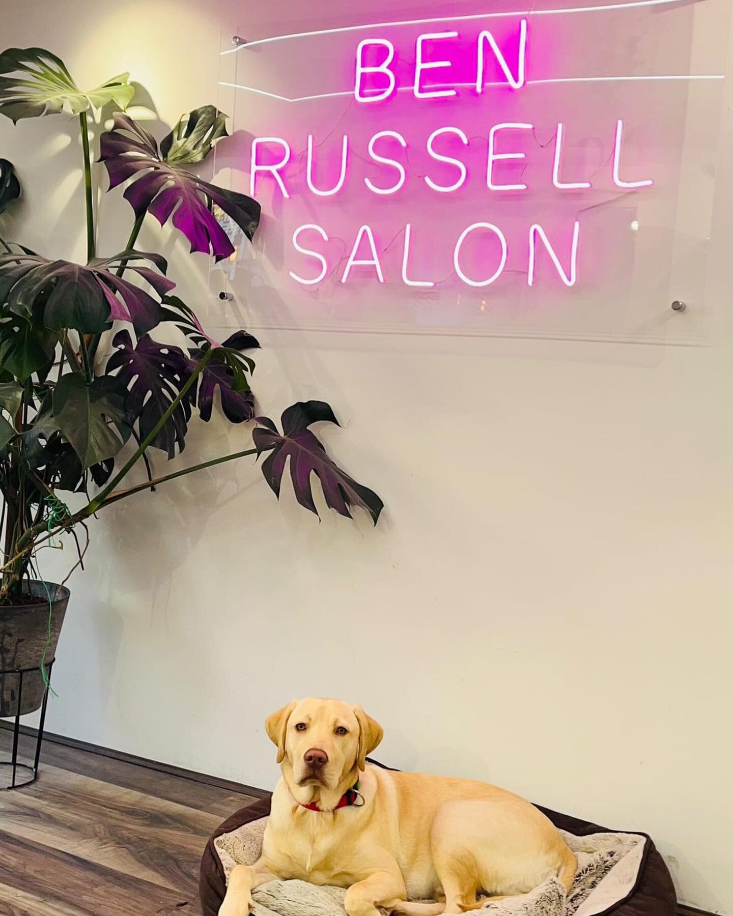 BACK TOMORROW 

MONDAY 8am-6pm
TUESDAY 9am-7pm
WEDNESDAY 9am-7pm
THURSDAY 8.30am-8.30pm
FRIDAY 8am-7.30pm
SATURDAY 7am-3pm

🏳️&zwj;🌈
#BENRUSSELLSALON 
#BENRUSSELLHAIR 
For bookings 
call 01460 55686 
Click the link  in the