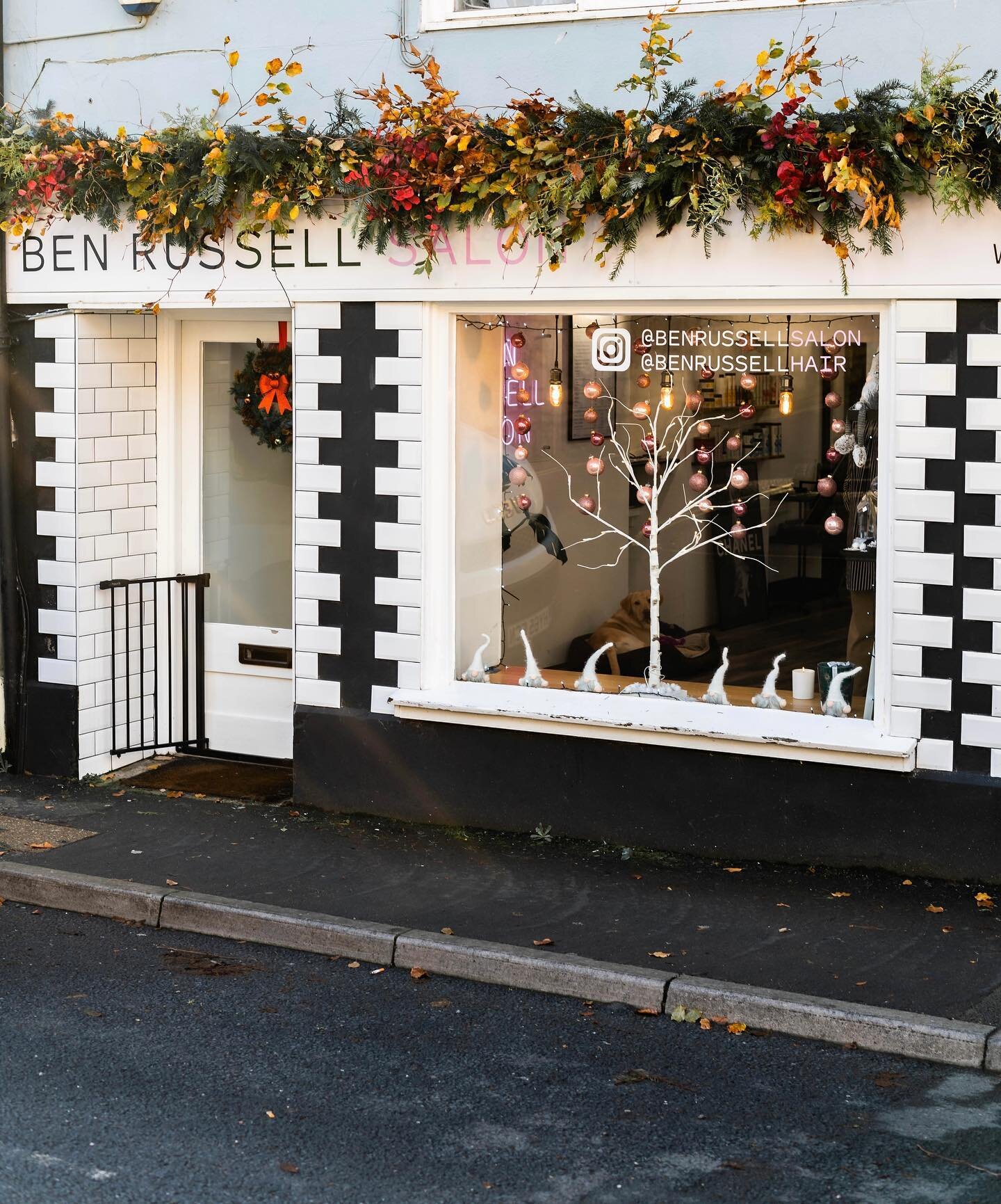 ITS BEGINNING TO LOOK A LOT LIKE CHRISTMAS 🎄 Thankyou to @cottageflowers for designing our beautiful Christmas garland. 

We are so excited for this festive season. 

CAN YOU SPOT RAMSEY ? @thesalondog_ramsey 

🏳️&zwj;🌈
#BENRUSSELLSALON 
#BENRUSSE