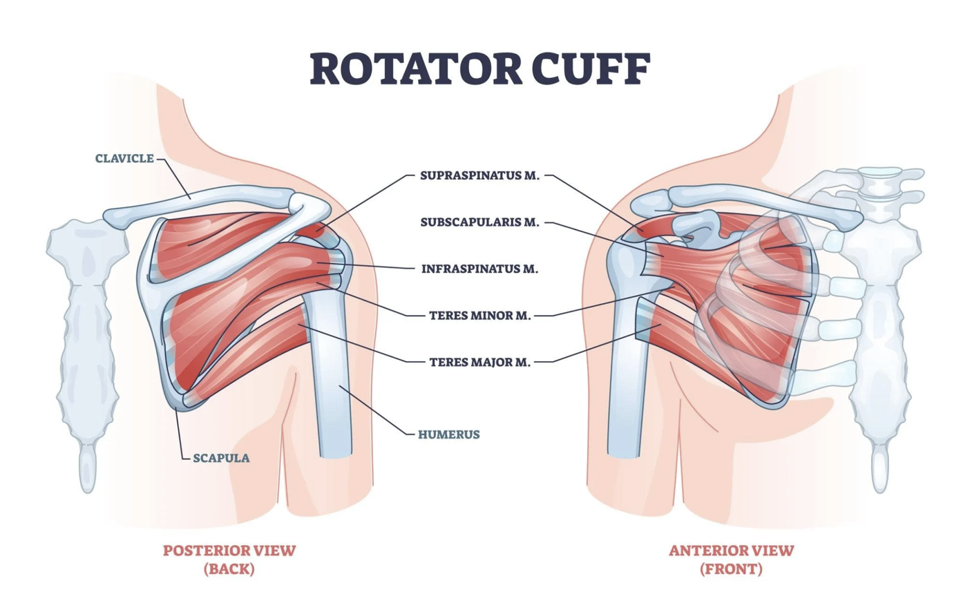 taking care of your bulletproof shoulders