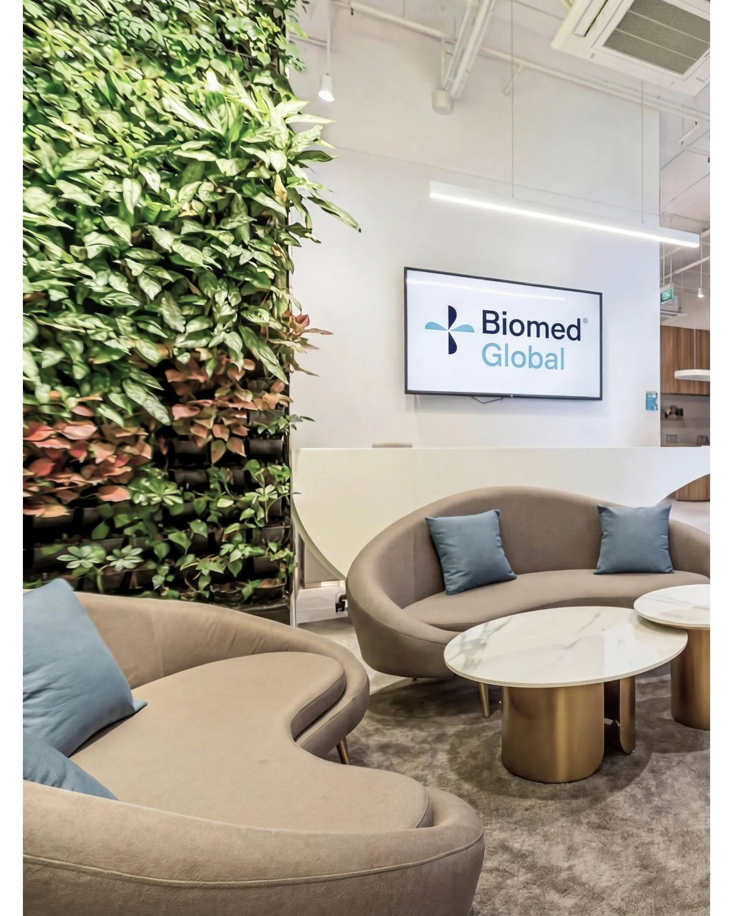 2 of 2 | Biomed Global is a regional corporation offering advanced biomedical solutions. The Singapore outpost displays its distinct brand identity with the bold blue-toned surfaces (symbolic of 'life') and the organic forms (adapted from the helical