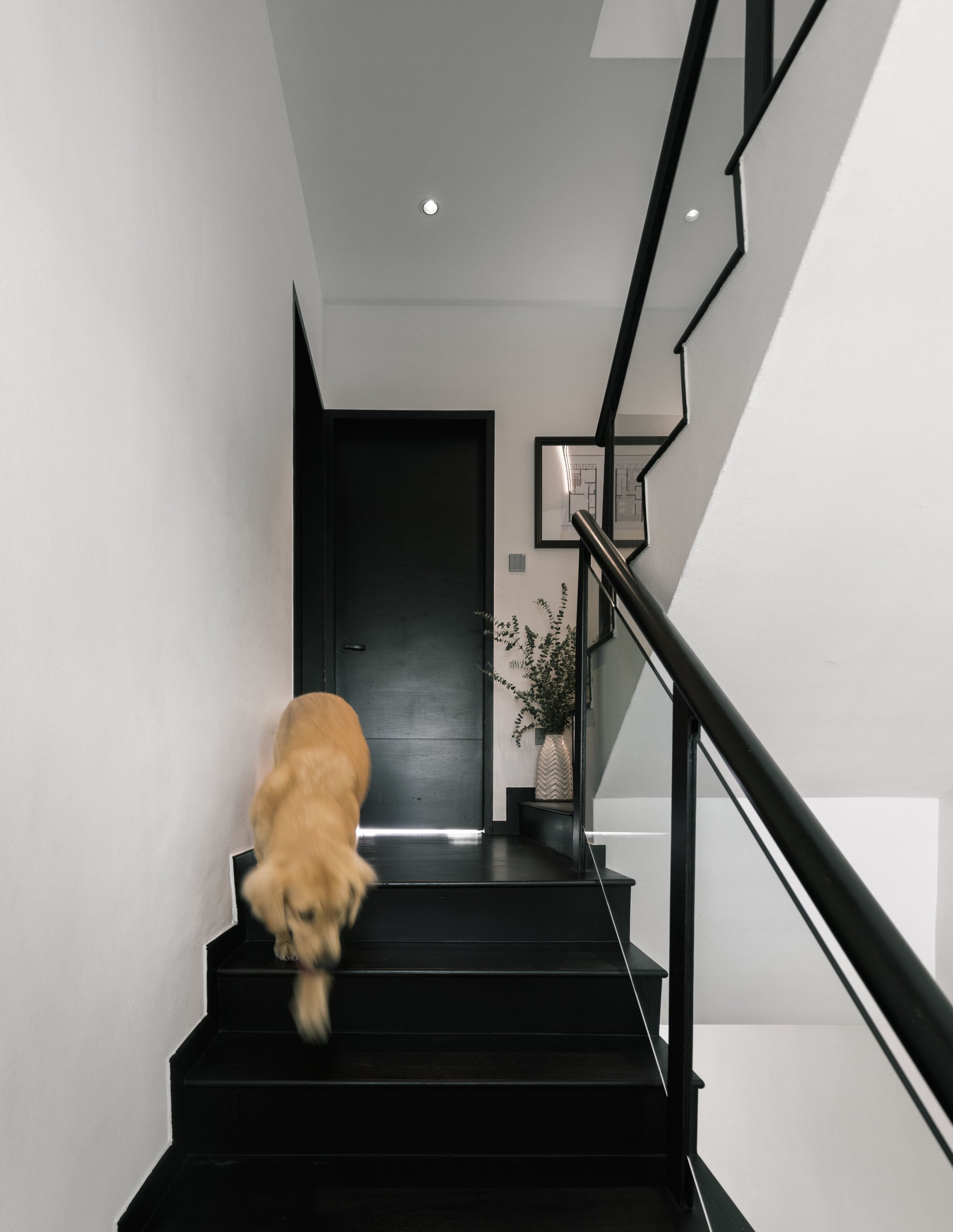 13 Sommerville_Design_Abode_Finbarr_Fallon_34-min.jpg