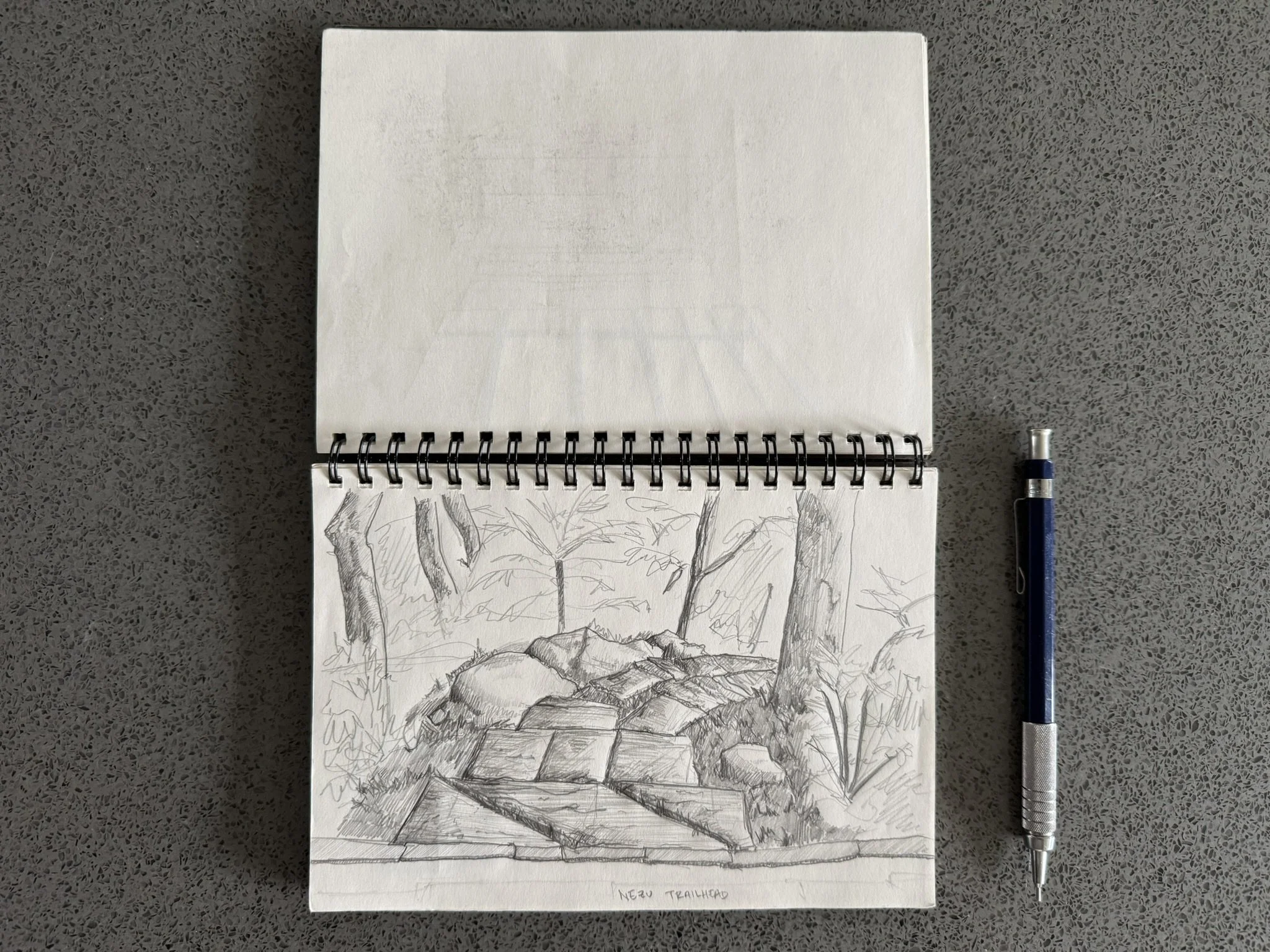 GagnonSketch_4.JPEG