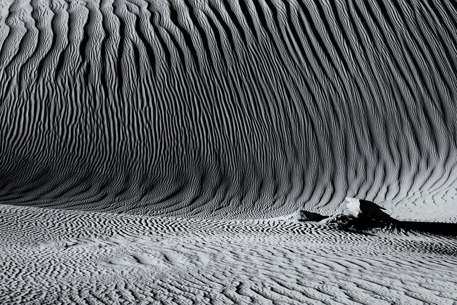 Dune #3