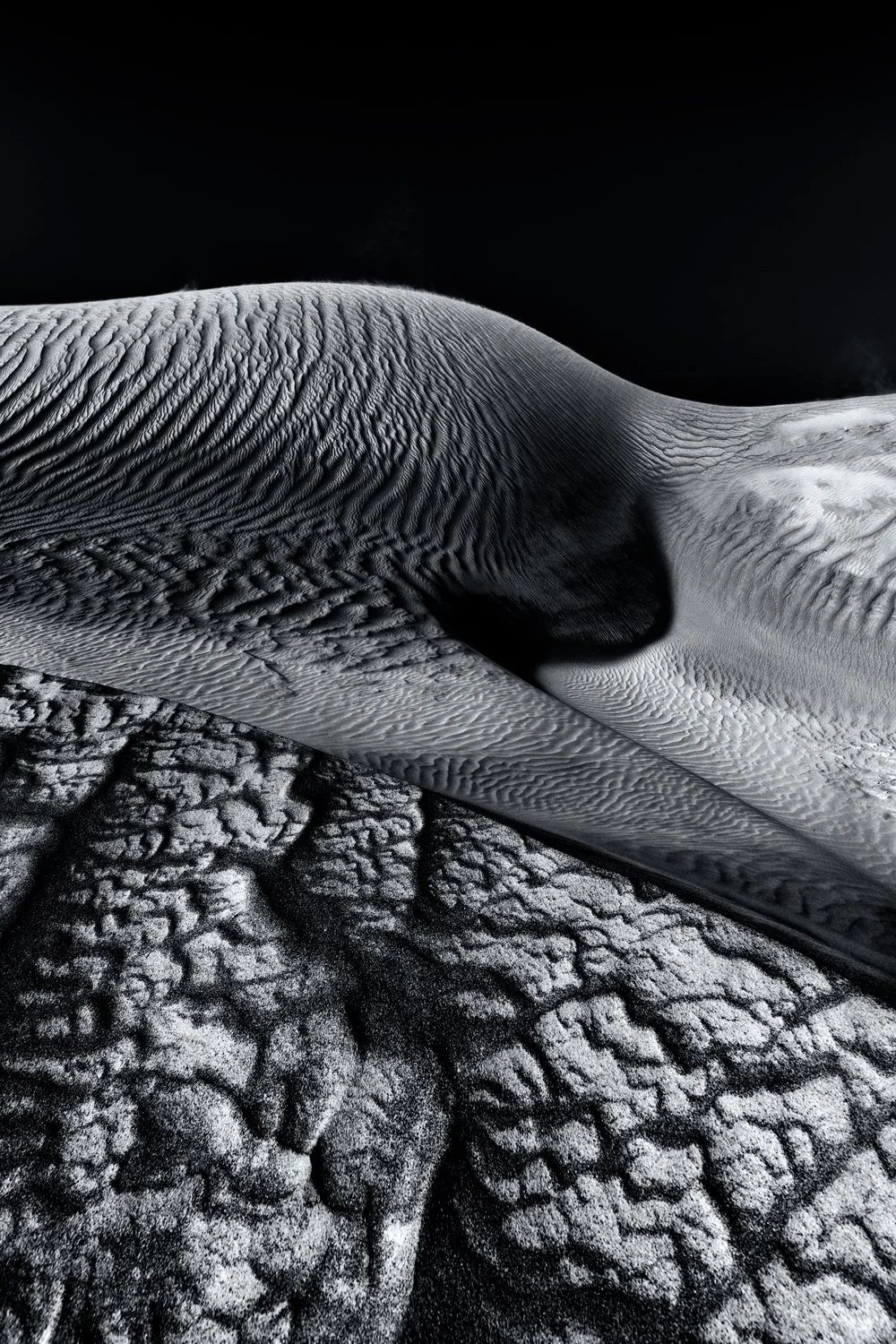 Dune #4
