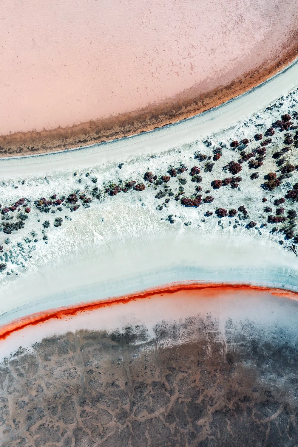 Salinity