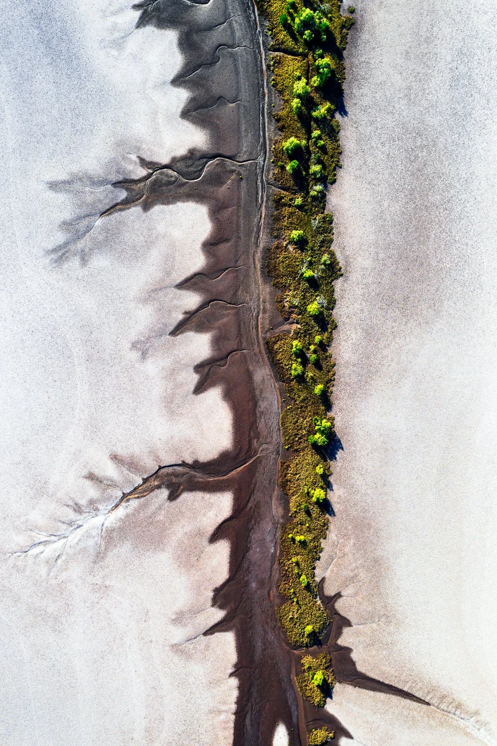 Fertile Bank