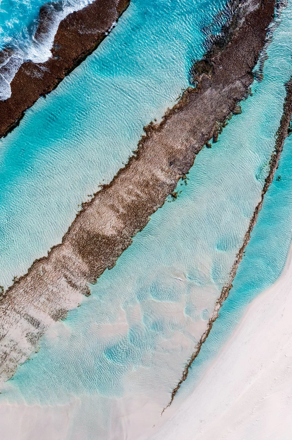 Shallows