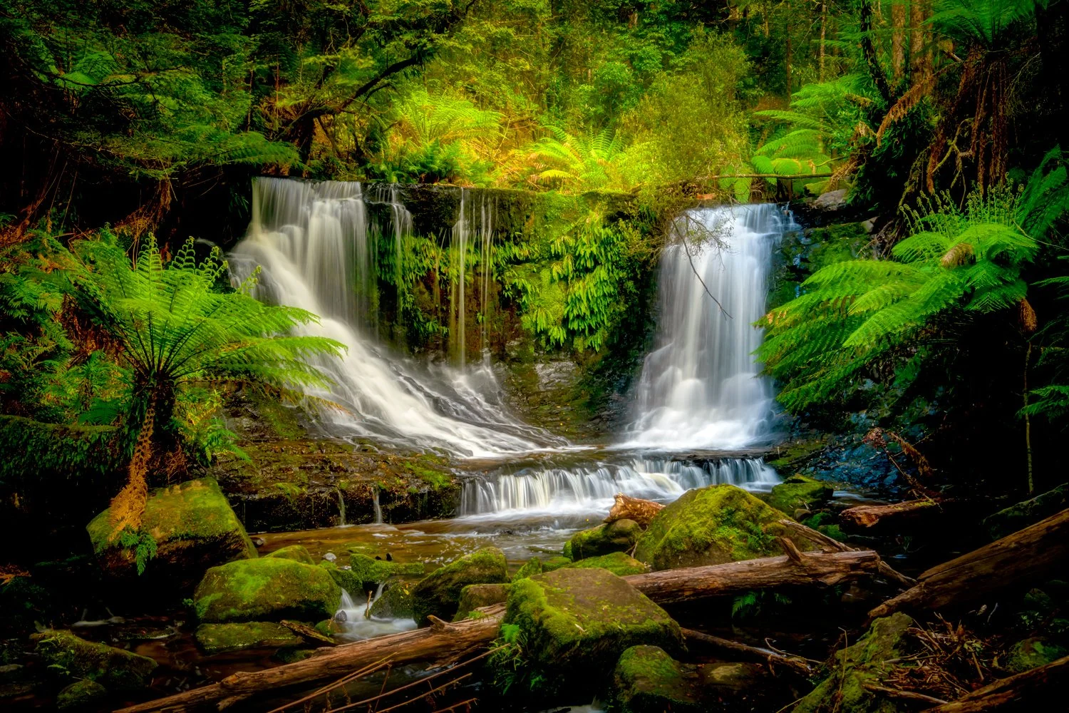 Horseshoe Falls