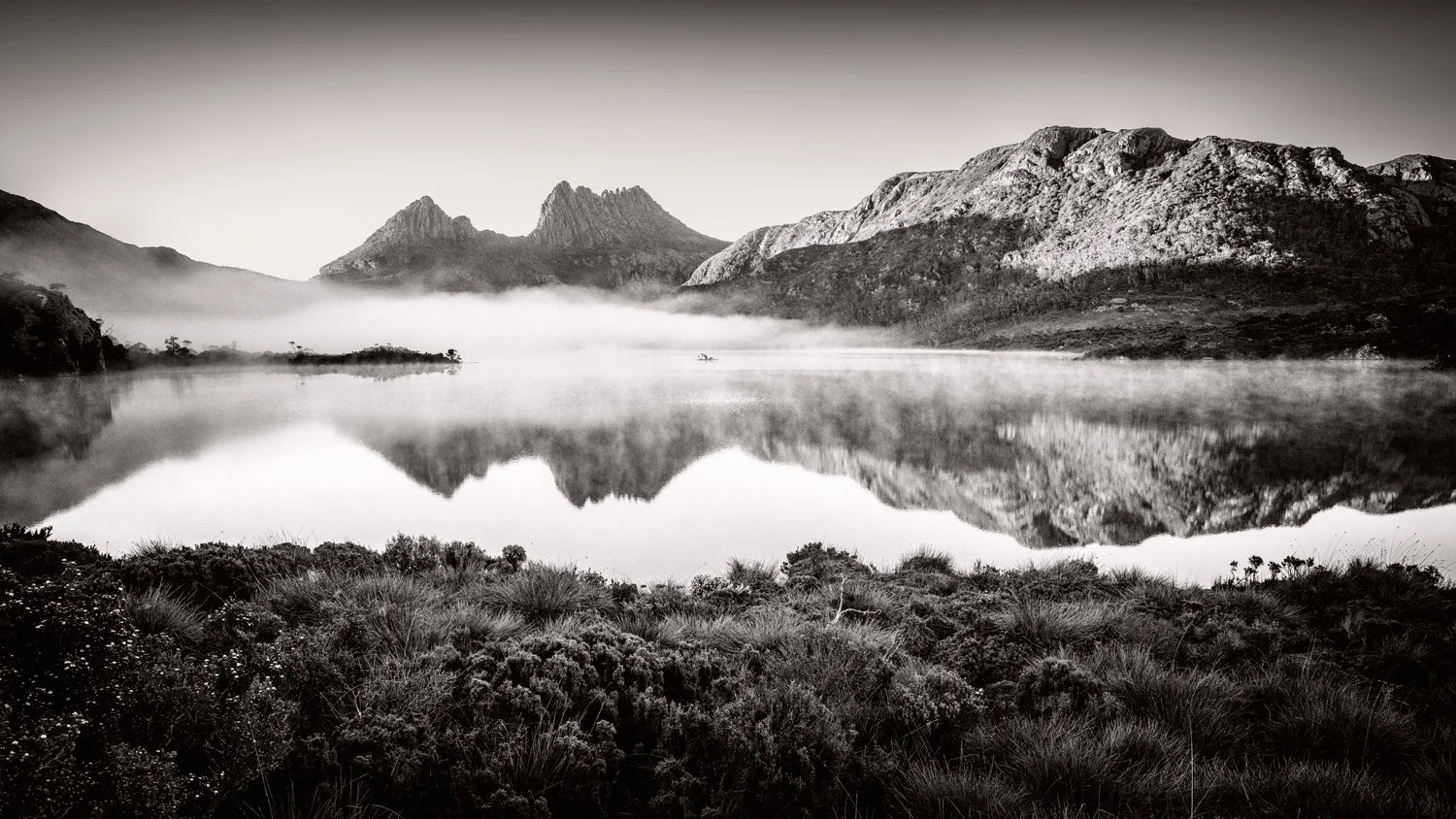 Cradle Fog