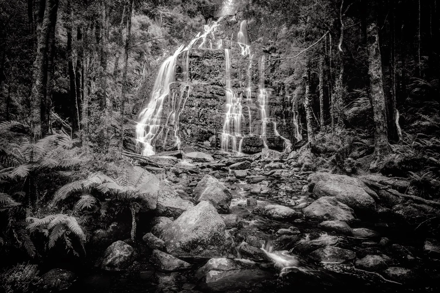 Nelson Falls BW