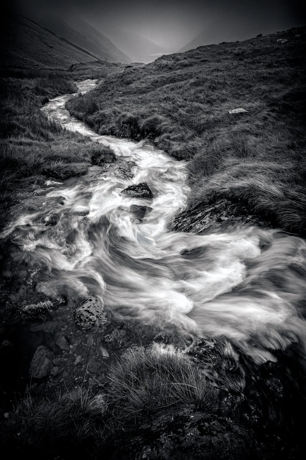 _DSC6424-27Merged_CC_BW_SHNR.jpg