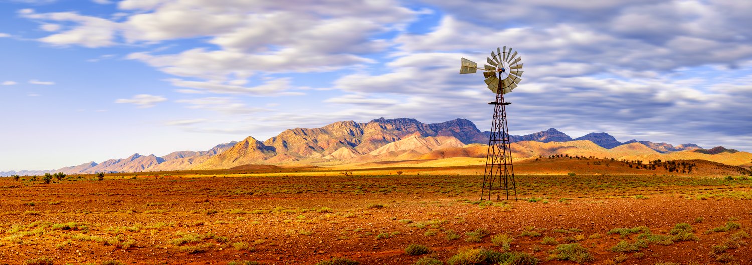 Afternoon Windmill