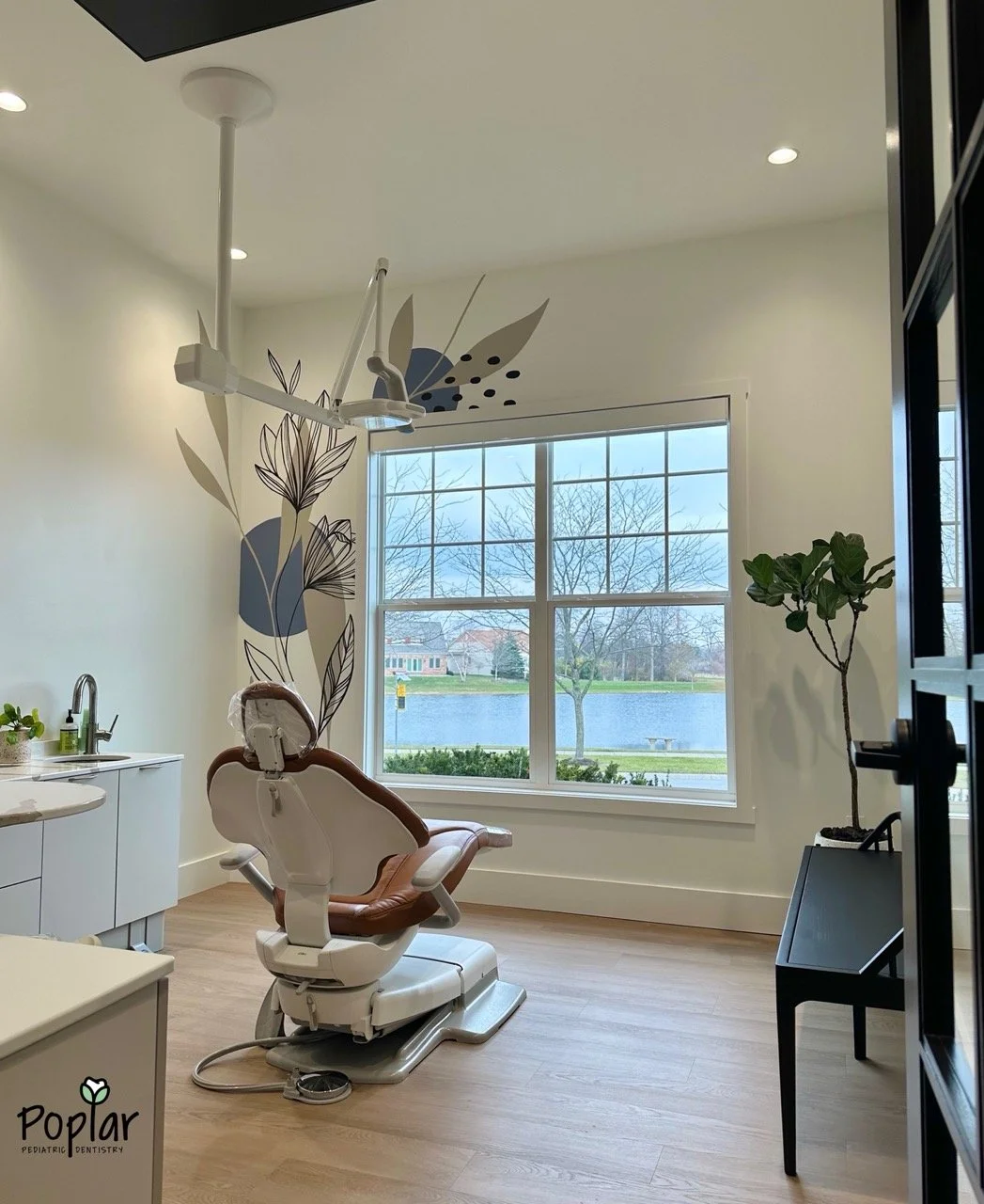 dental operatory room with murals and view of pond