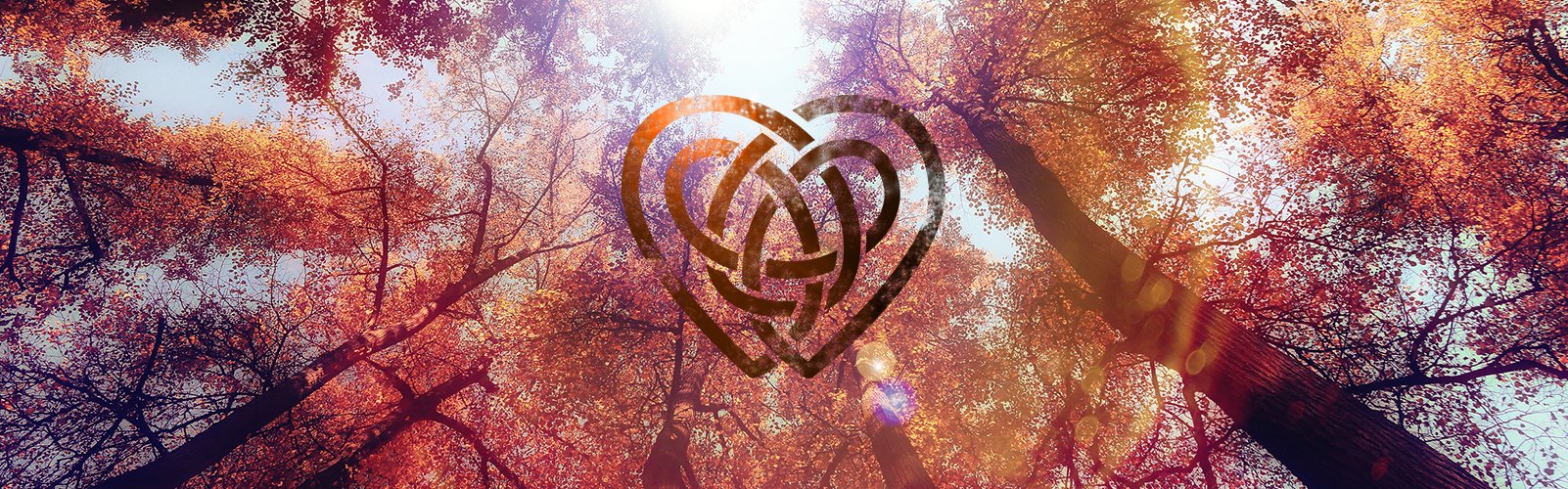 PYNK_Fall_Banner_v01.jpg