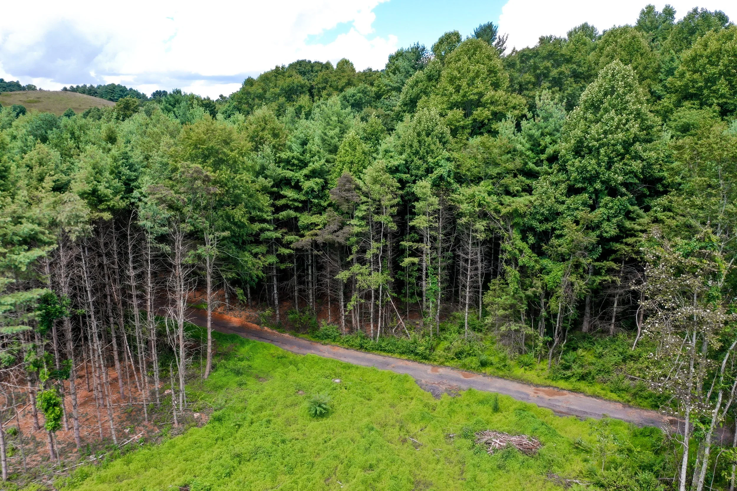 Turman Property 35 AC — NEW RIVER VALLEY LAND SALES