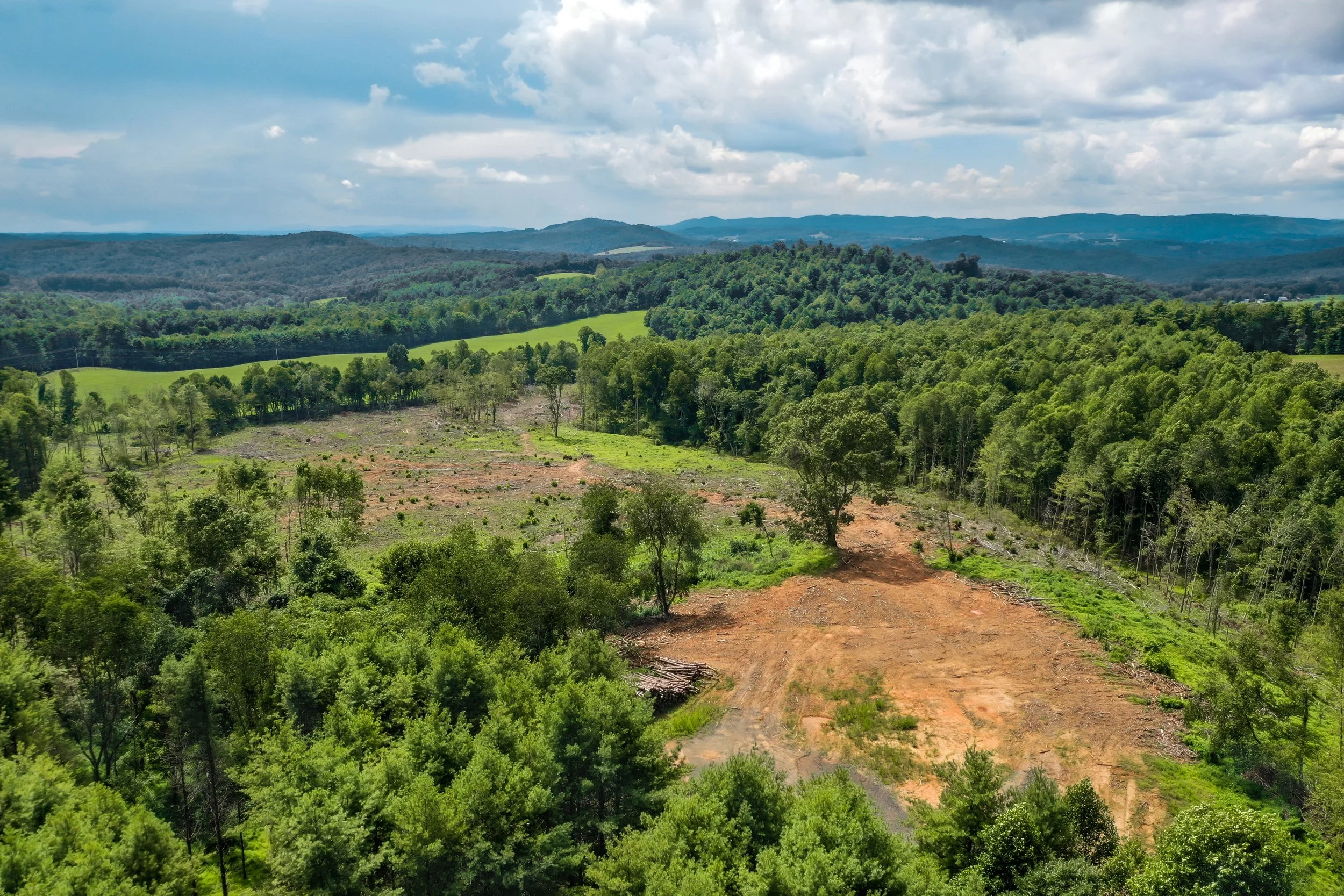 Turman Property 35 AC — NEW RIVER VALLEY LAND SALES