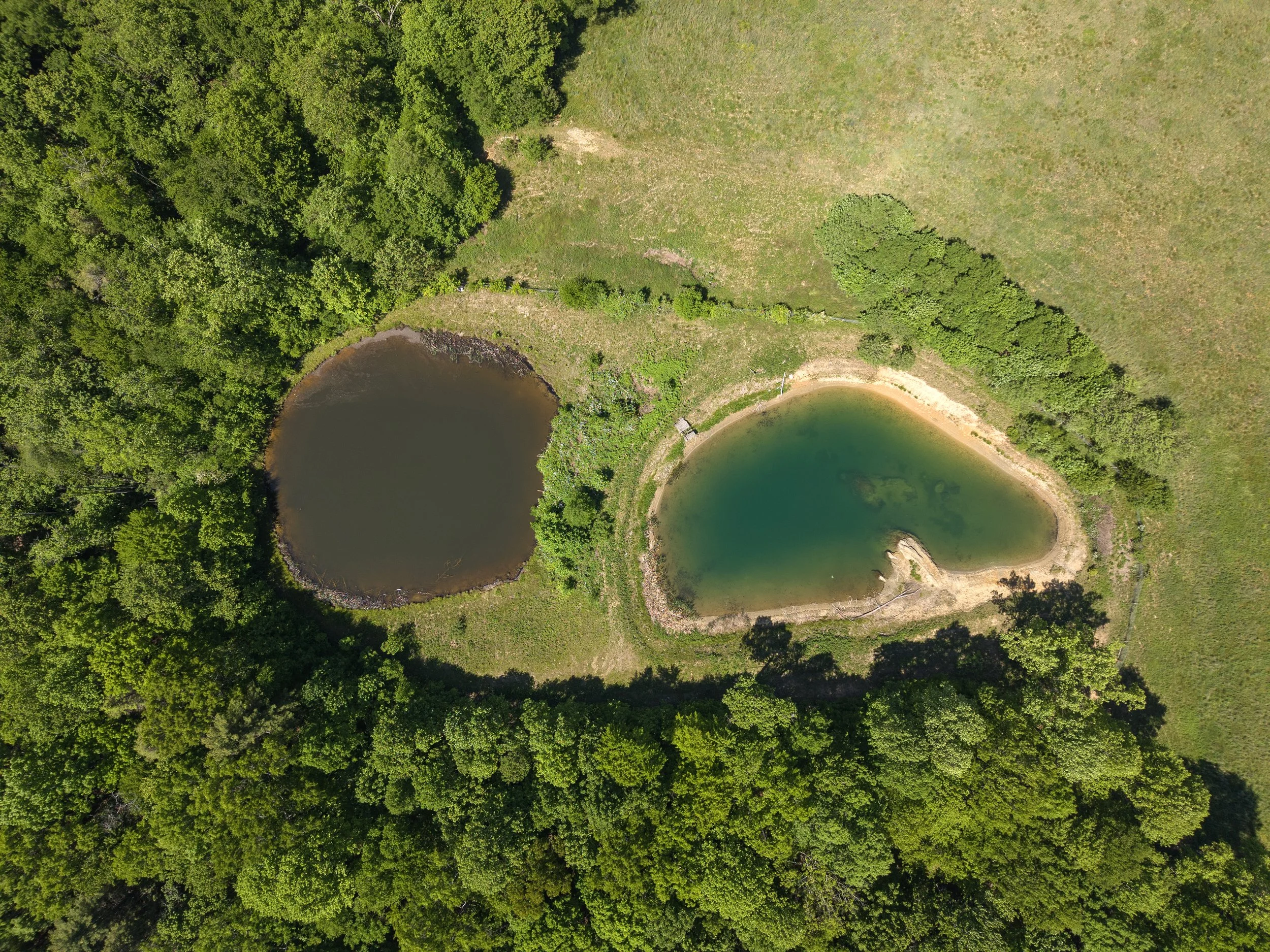 20-7 Lower Dam Rd (38 ac)-MFW Media.JPG