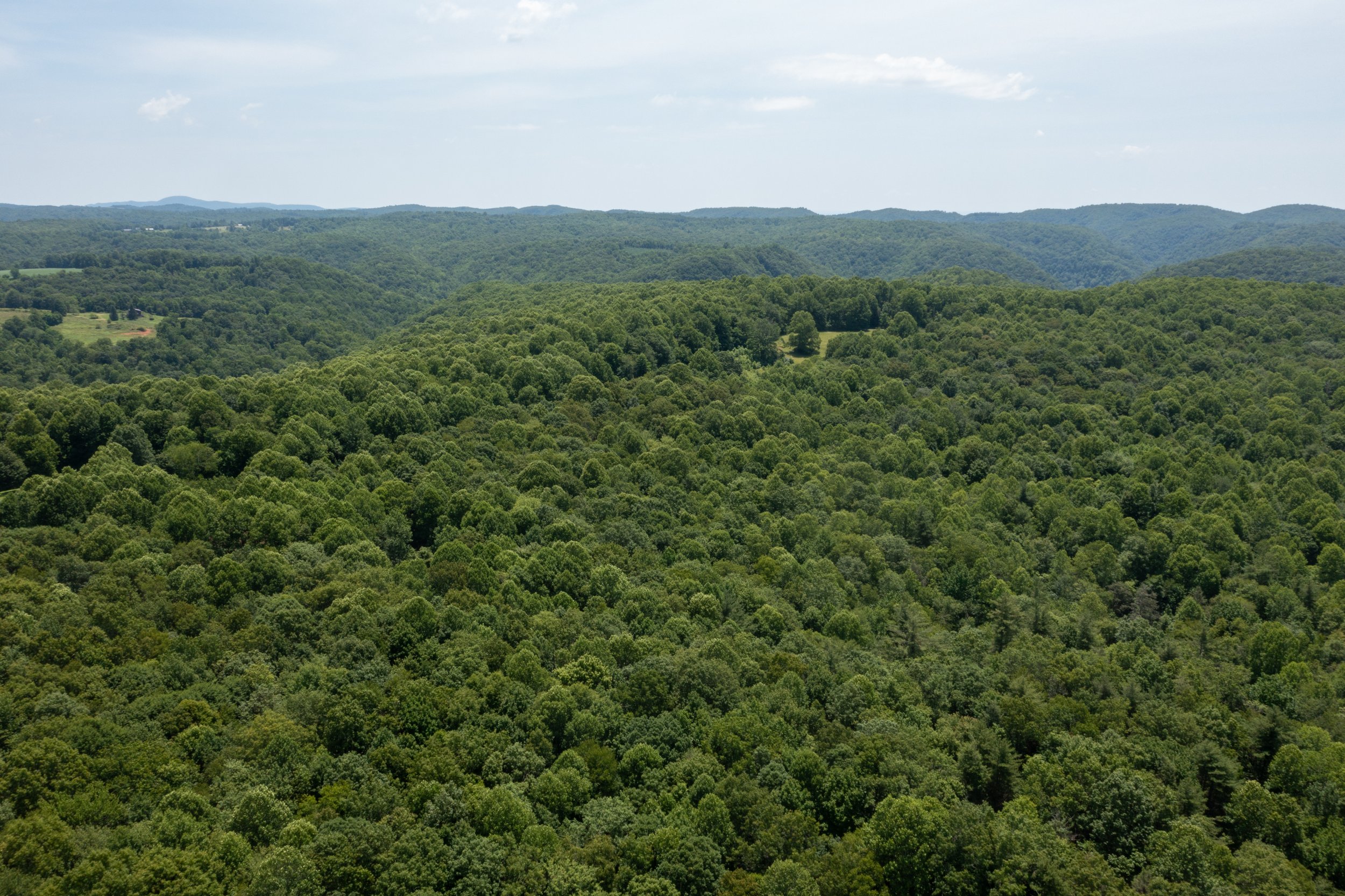 DJI_0836.jpg