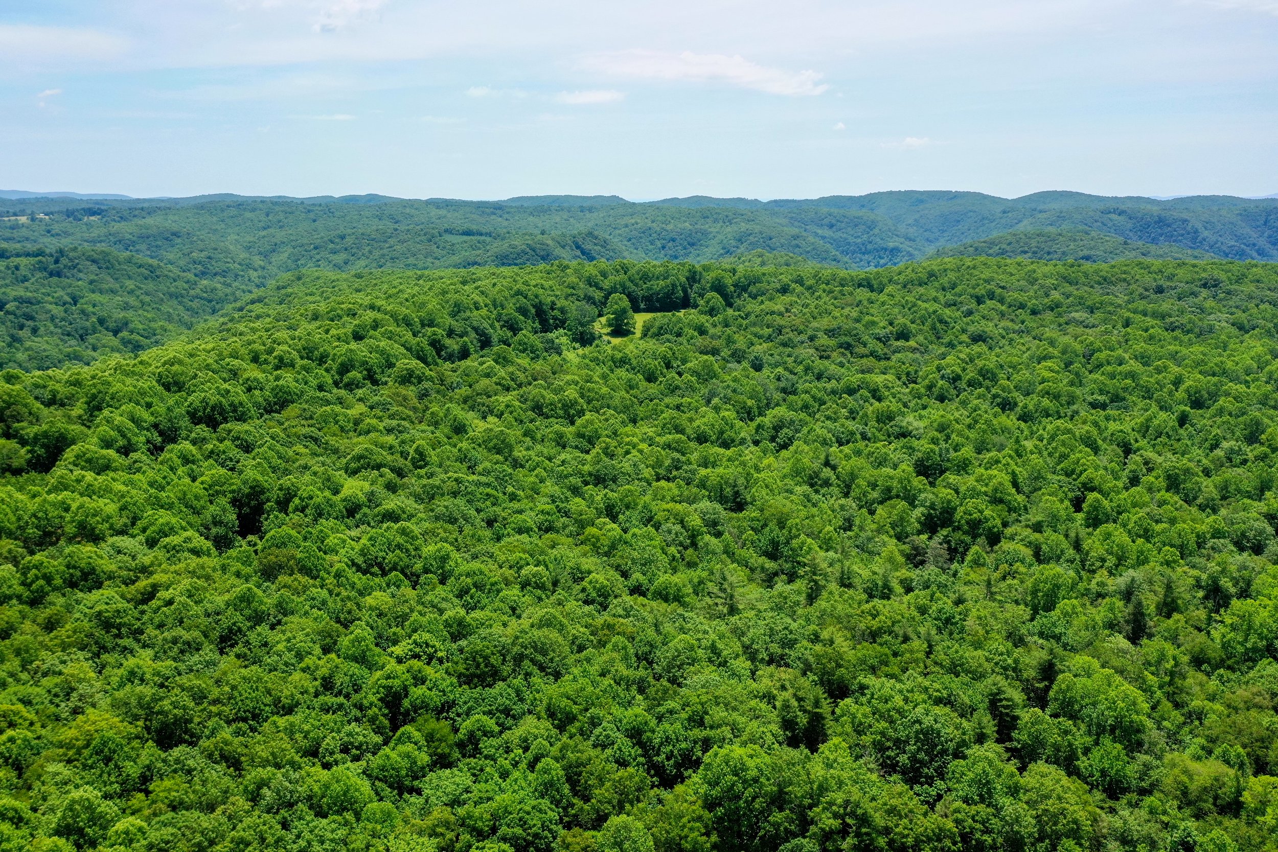 DJI_0835.jpg