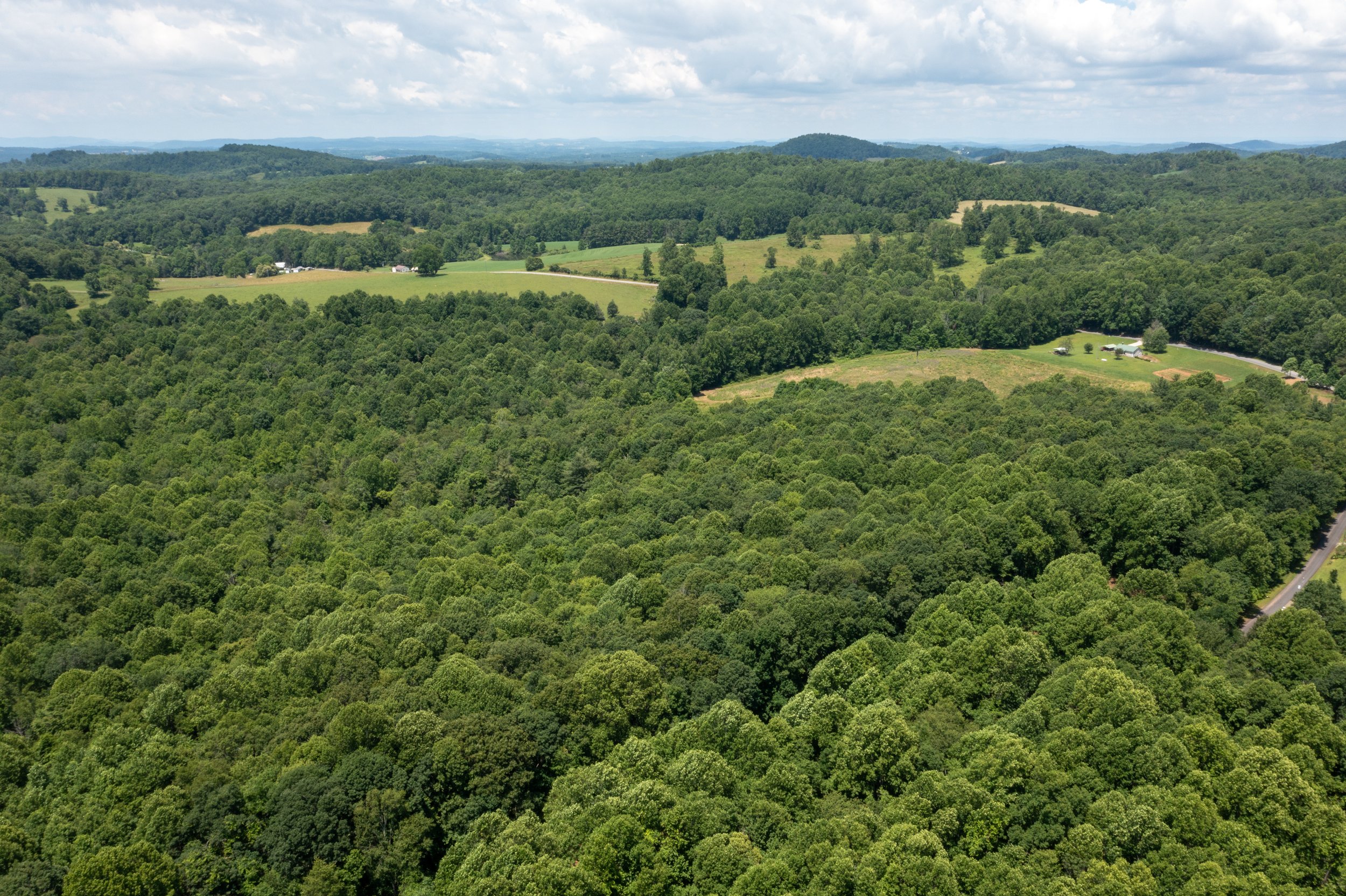 DJI_0825.jpg