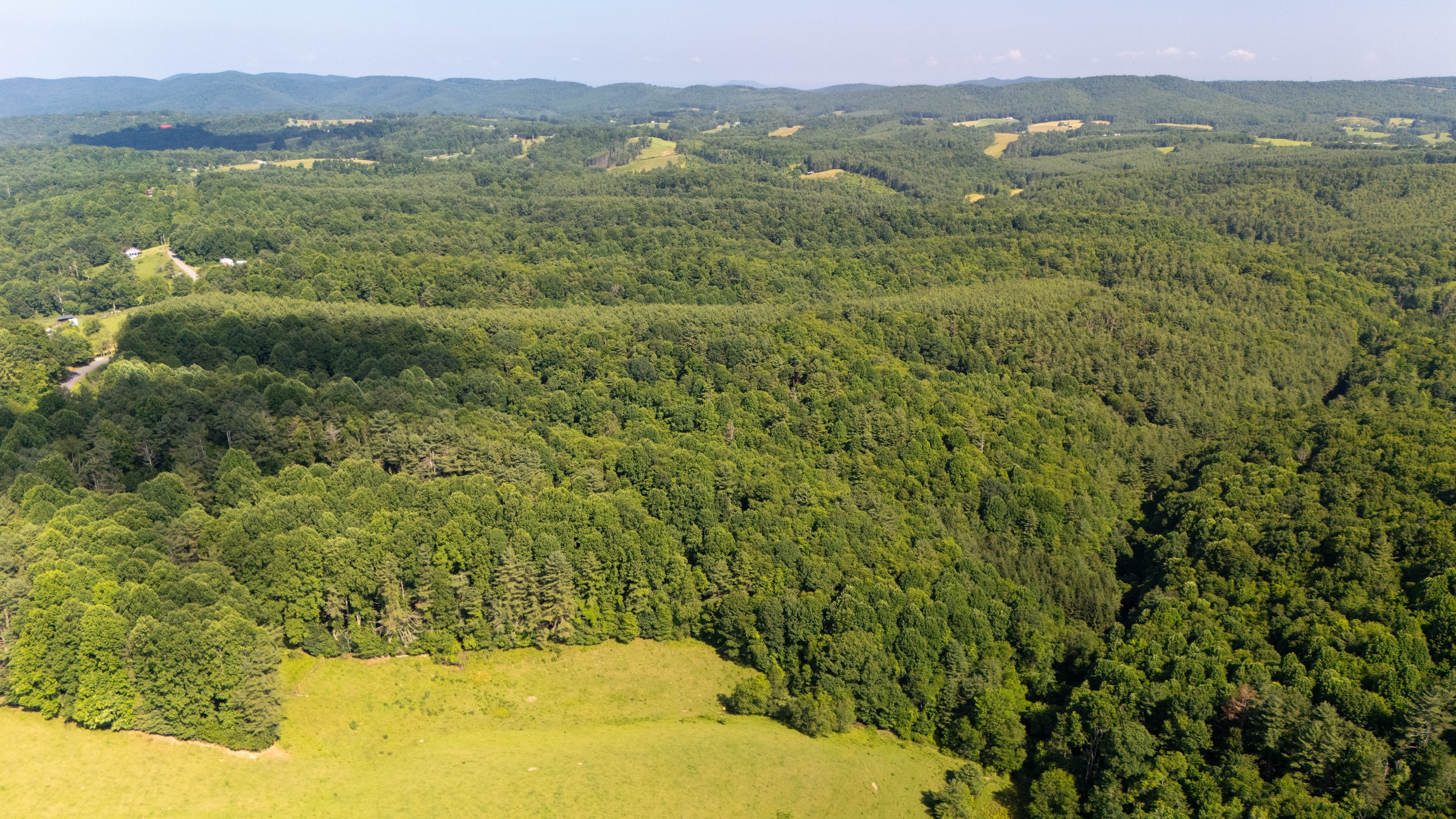 42-Area 1-48.jpg