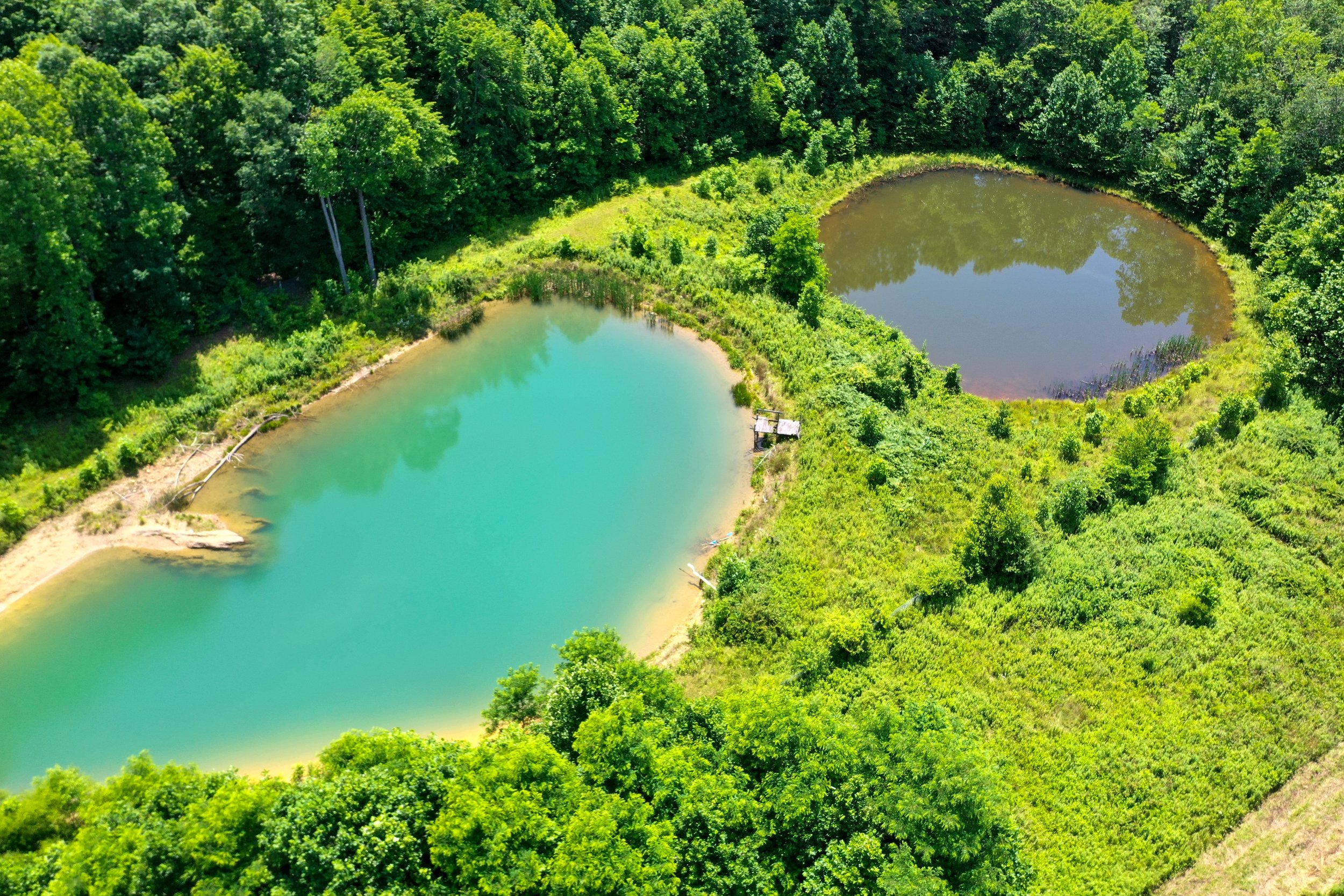 DJI_0833.jpg