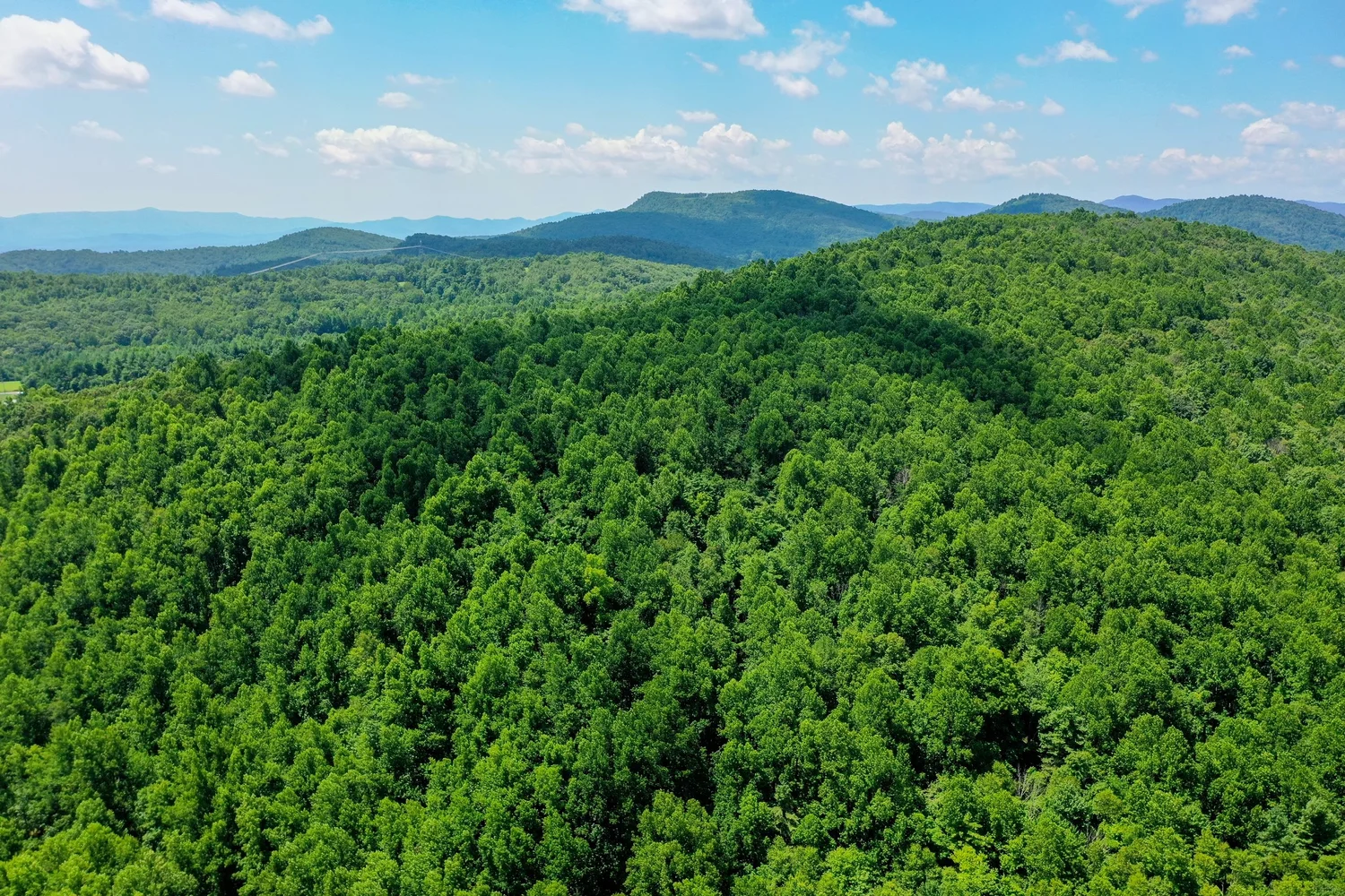 Blue Ridge Parkway 110 AC — NEW RIVER VALLEY LAND SALES