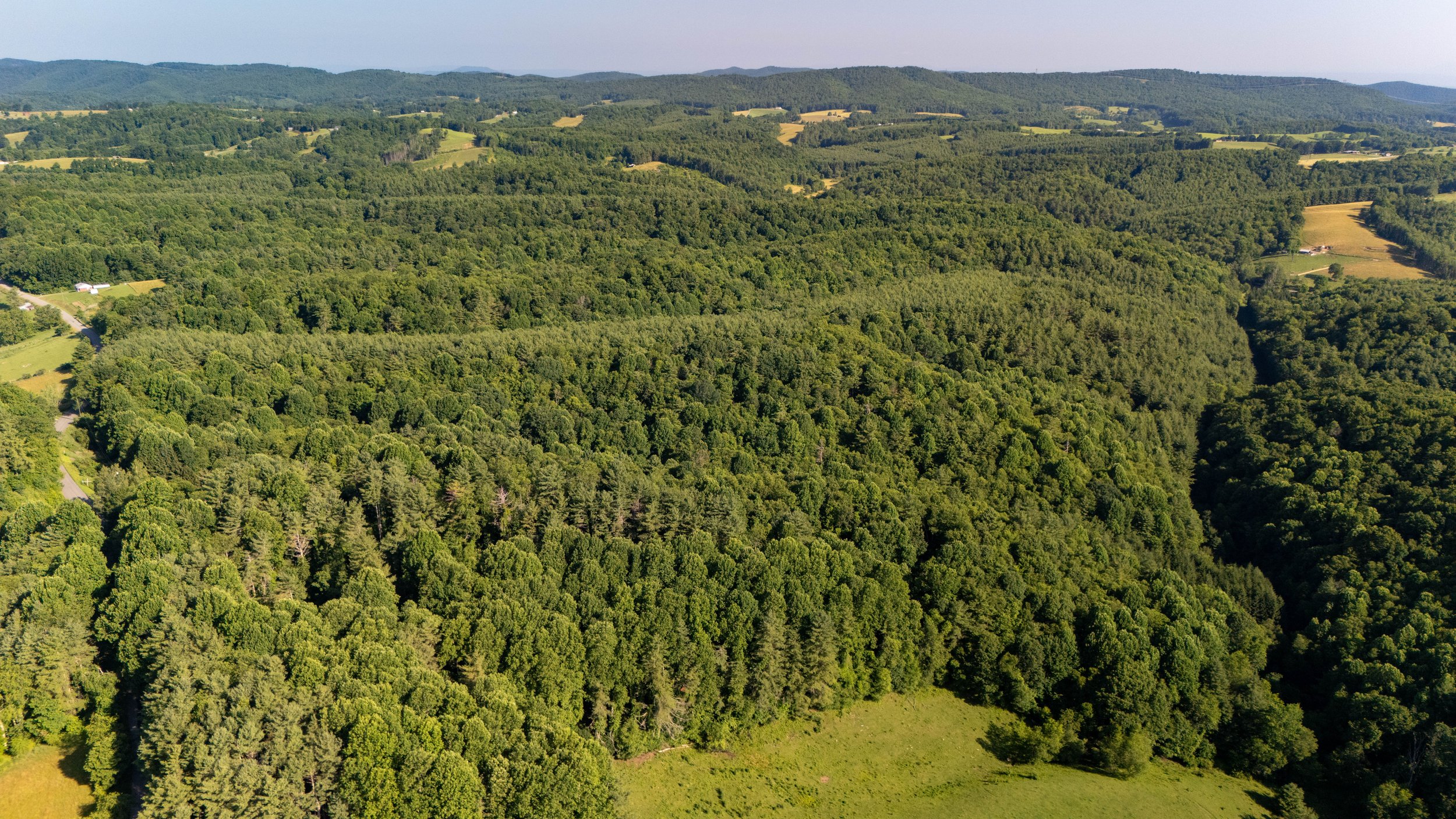 18-Area 1-23.jpg