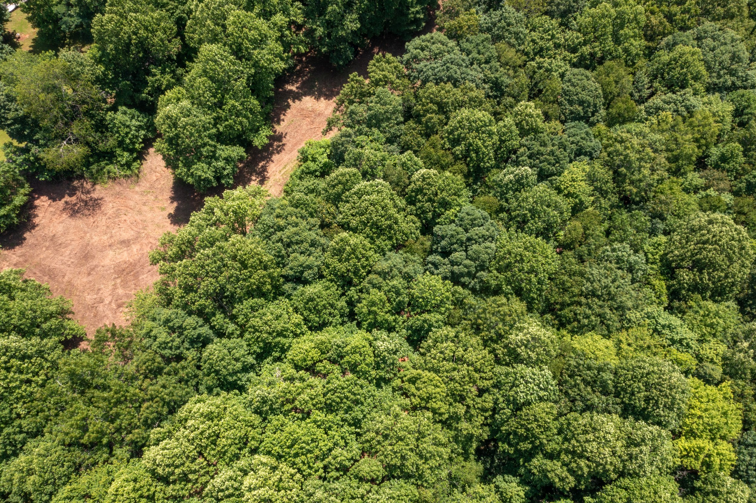 DJI_0837.jpg
